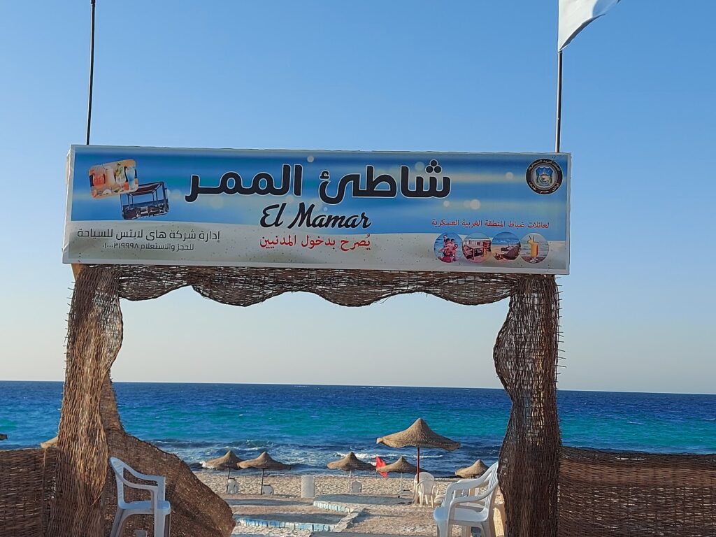 Google Photo 7