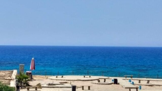 Google Photo 6