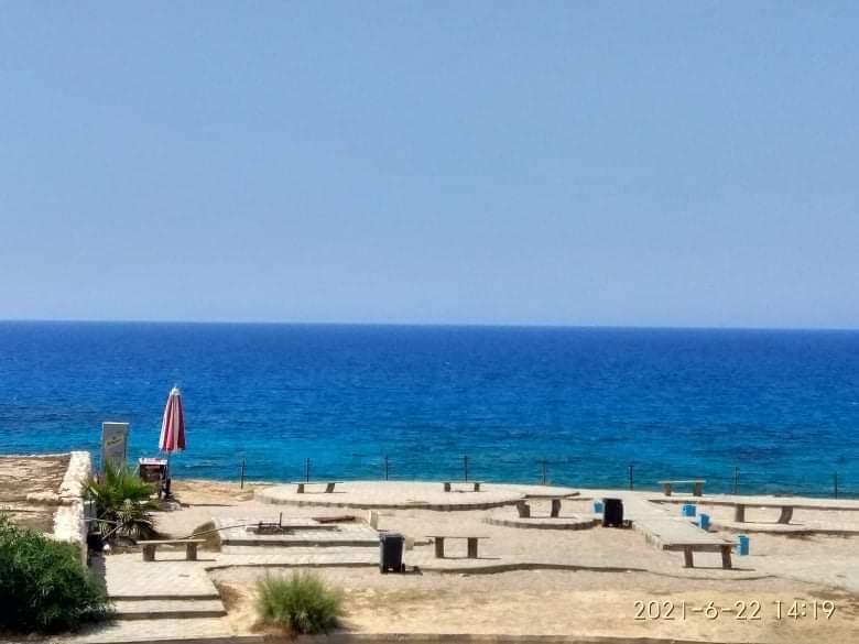 Google Photo 6