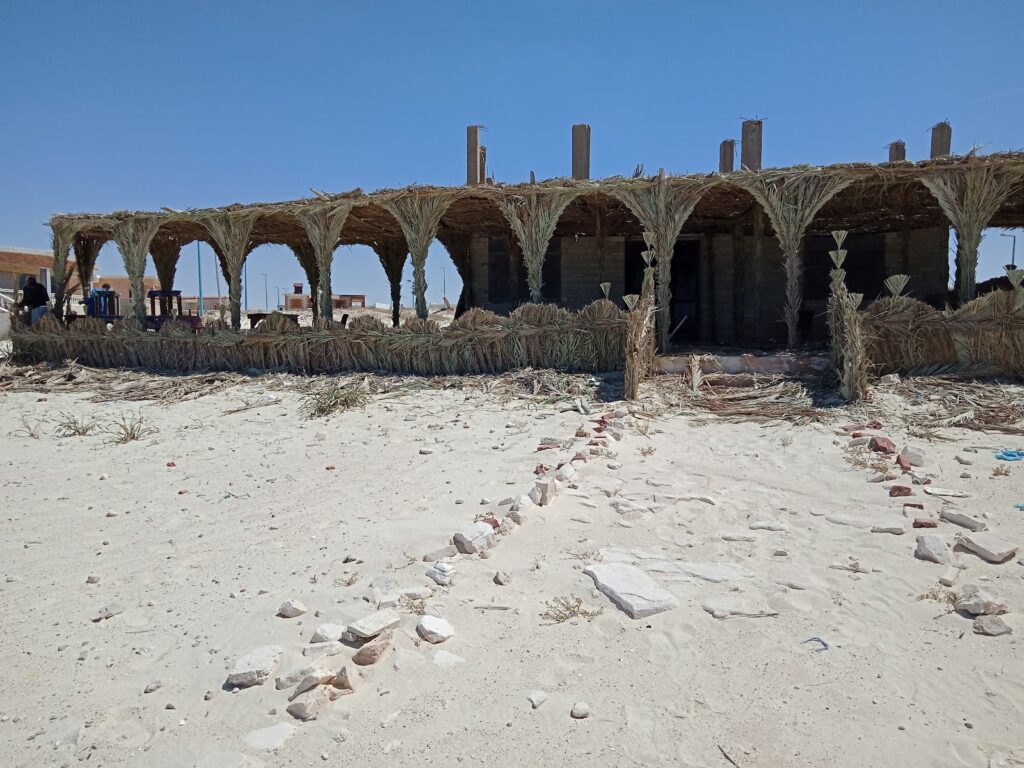 Google Photo 10