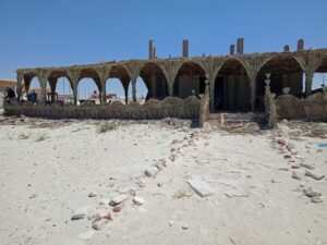 الصورة 10