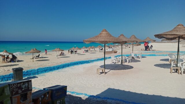 Google Photo 1