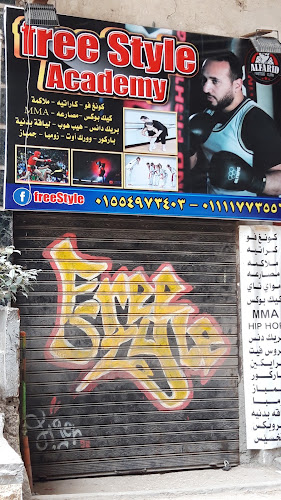 أكاديمية الأسلوب الحر