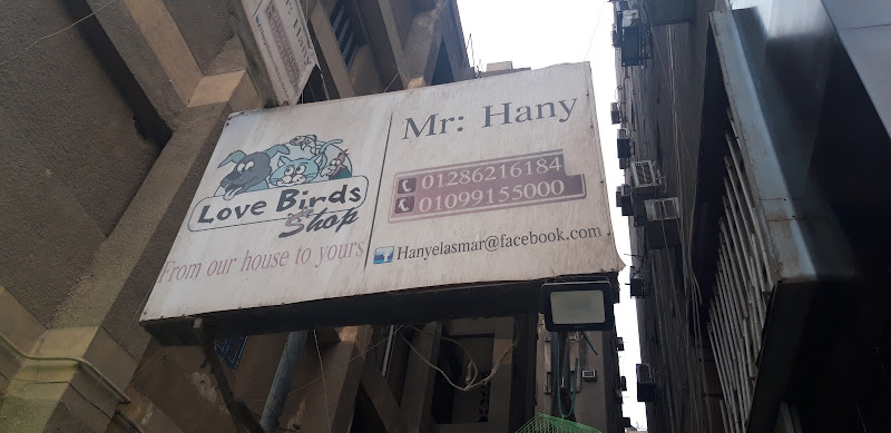 Love Birds Shop