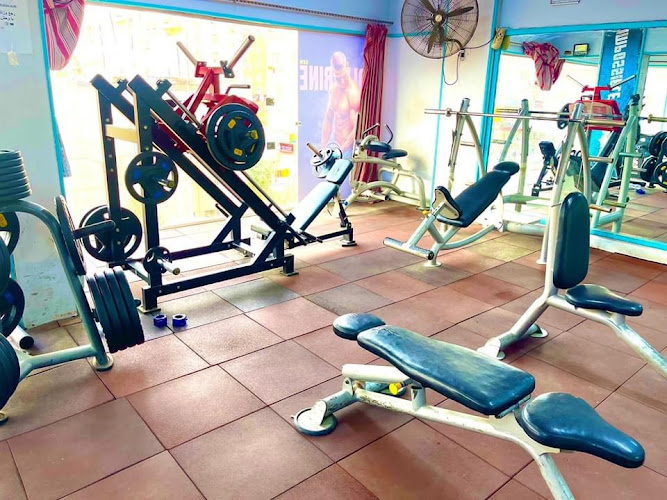Wolverine GYM