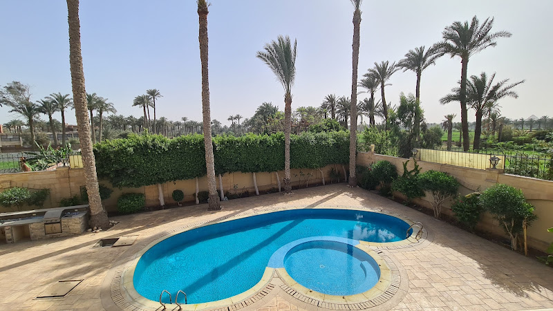 القصر – القصر