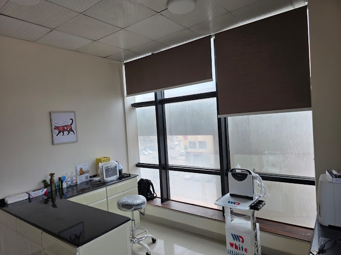 Venn Animal Hospital
