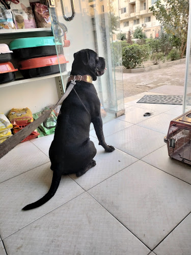 Pets heaven vet clinic