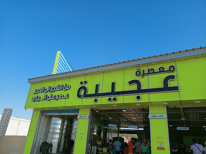 Amazing olive oil press in Marsa Matrouh