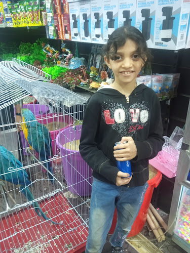 Youssef Hindi for Ornamental Birds and Pets