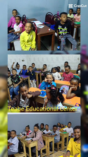 منظمة تيبي الرائدة للاجئين (Teabe RLO)