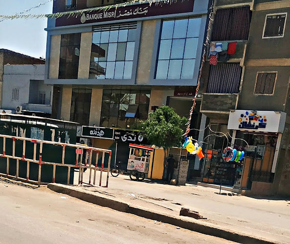 TGP Egypt (Audit-Tax-Advisory)