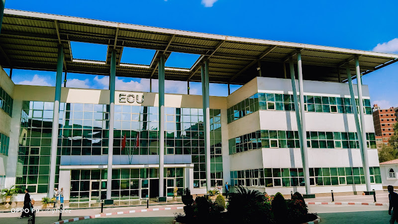 The Egyptian Chinese University (ECU)
