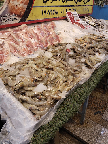 Bahraini fish