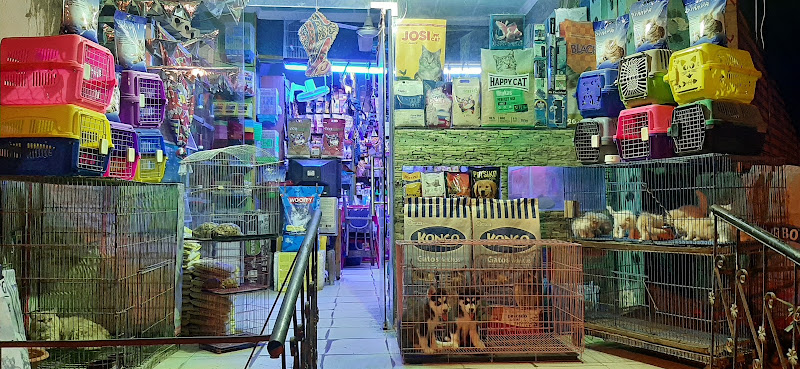 Nemo Pet Shop