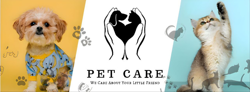 Pet Care Dr. Mohamed Magdy