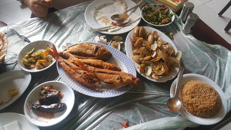 Abu Sha’fa fish