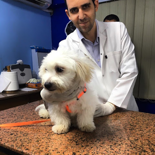Egyvet Clinic