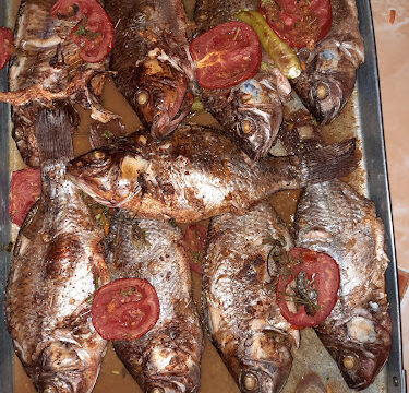 AHRPTWmZJB4mczZ13LChf5TAVDjxLD8ar3CMX7JPZFCgIJOgc0sAk_dRct37RhHpCFJHR-8WevkTUnAjcyU6mjGDZWMkvqUyKQ94g0A3DD8r8cHHA0-yVp2b9edxn1-nvAykF_jcskhgw800-h500-k-no-1.jpg