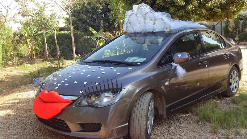 zentycar