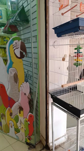EGY Parrot ( For Parrots & Birds – Food and Accessories )