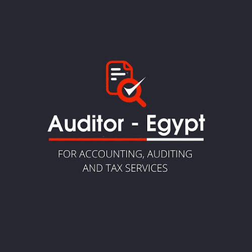 Accountant for accounting and auditing
