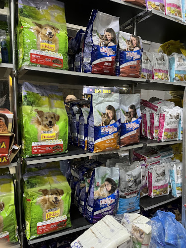 My Pet store