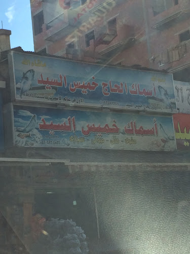 بيلا خميس السيد