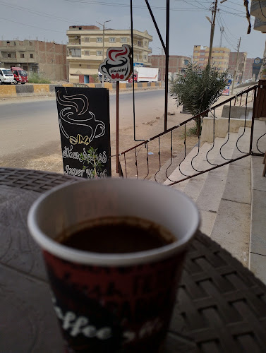 oplus_48