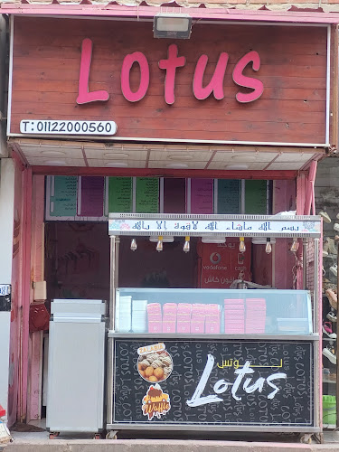 Lotus dumplings