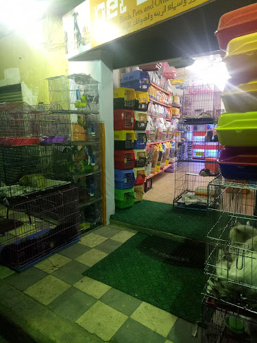 Pet station