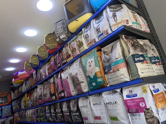 Pets zone