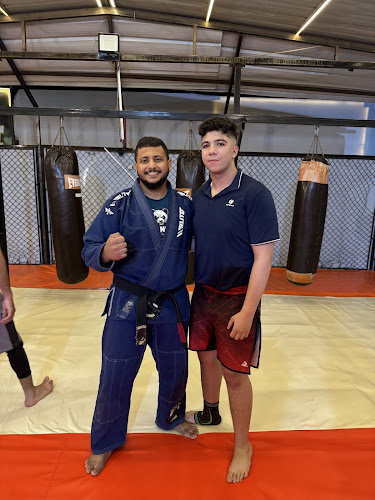 Ultimate fighting academy – UFA