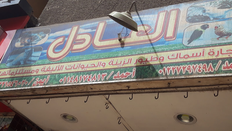 السند