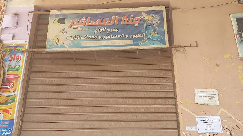 Birds’ Paradise