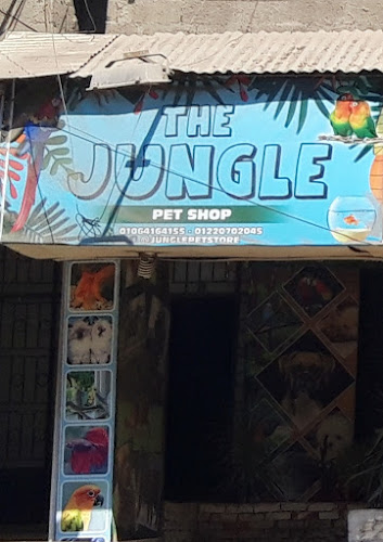 THE JUNGLE