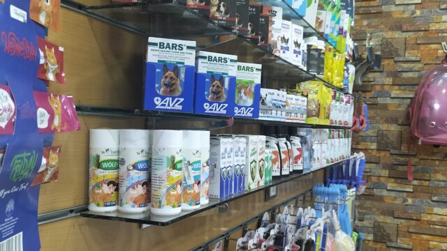 Google Photo 1