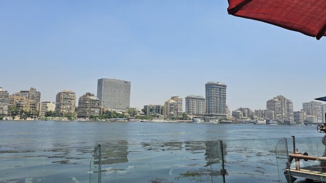 Google Photo 5