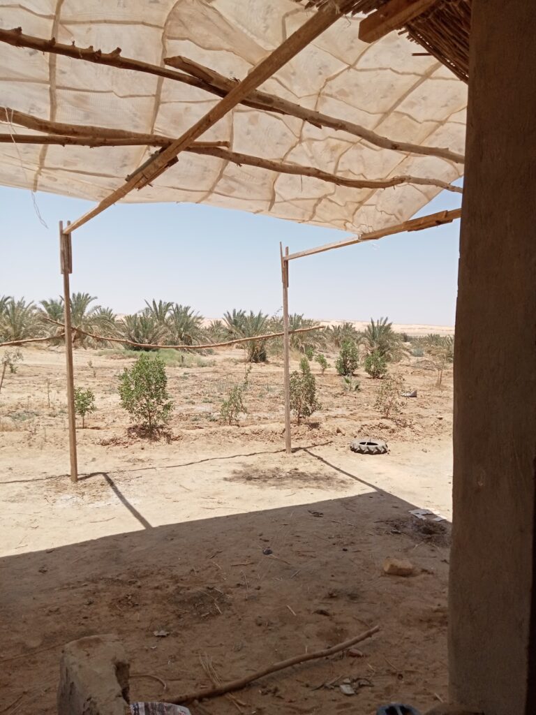 البويتي