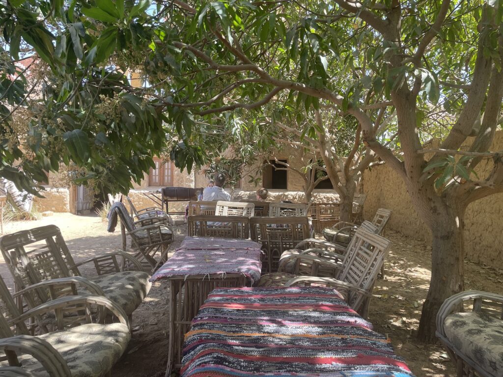 المطعم