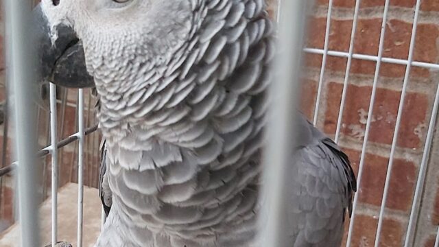 Google Photo 3