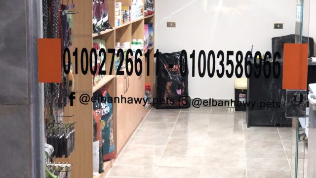 Google Photo 3