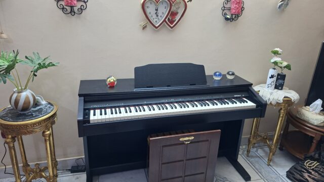 Google Photo 5
