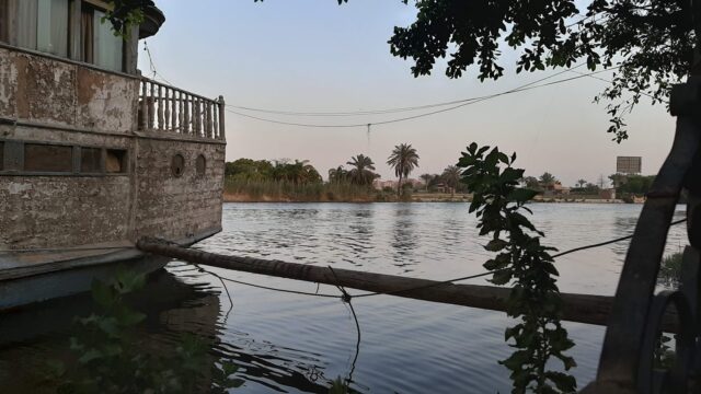 Google Photo 5