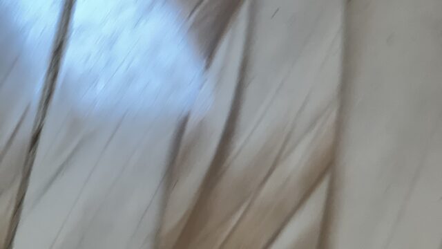 Google Photo 3