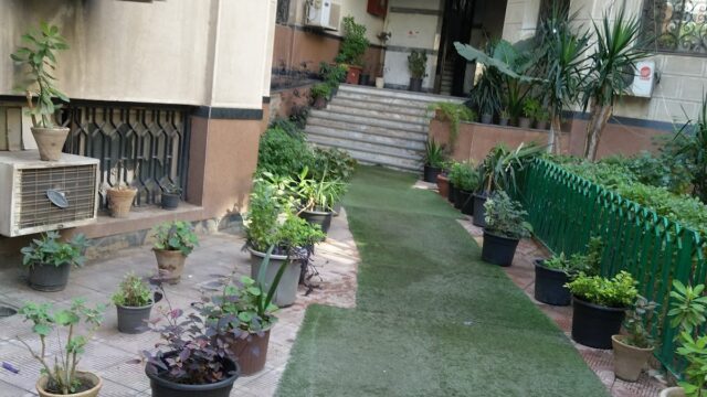 Google Photo 3