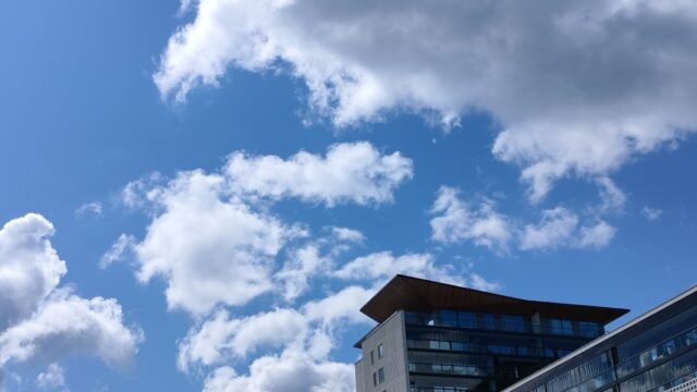 Google Photo 3