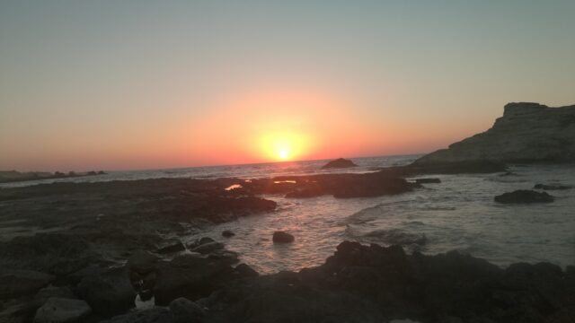 Google Photo 2