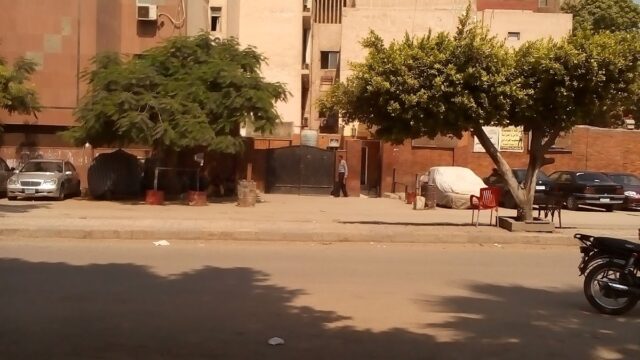 Google Photo 1