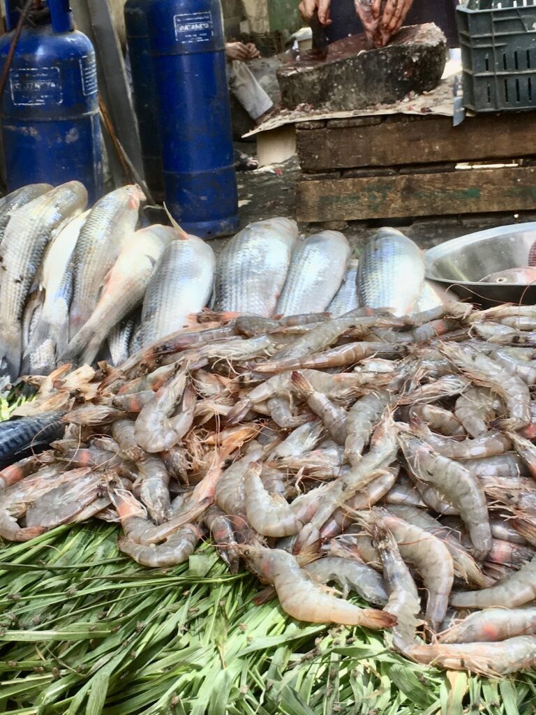 Abu Hussein Fish